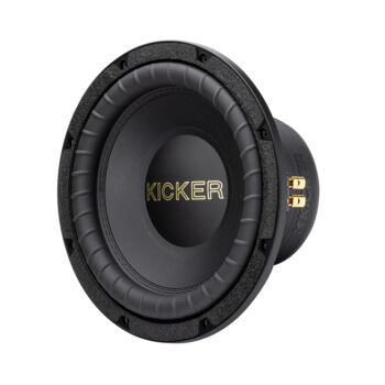 10" subwoofer