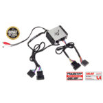 ESX QS-TWO-ISO 2-Channel Class D Nano Digital Amplifier With ISO Wire Harness (60 cm)